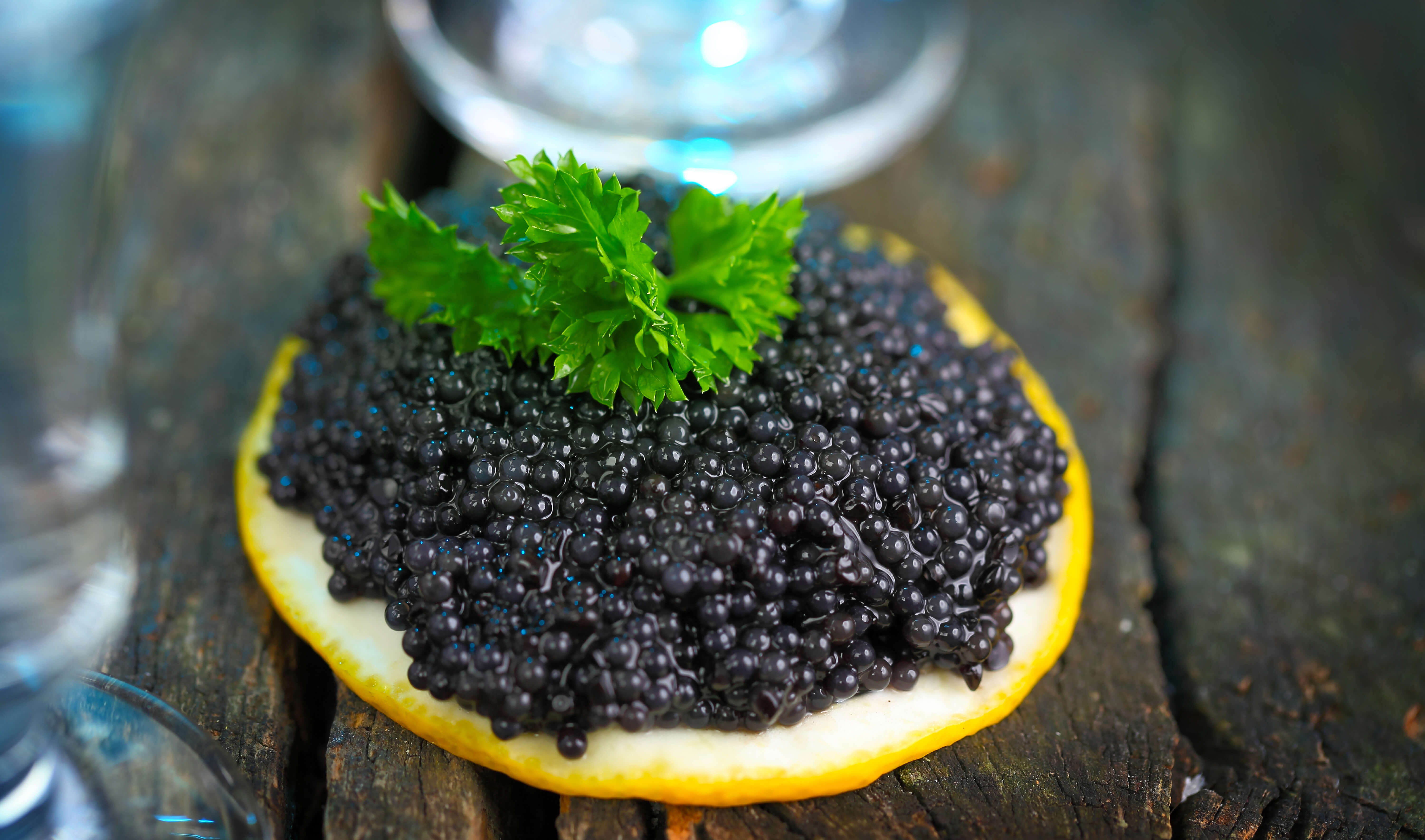 emmakisstina: WIMB: Lindsey of Caviar Taste