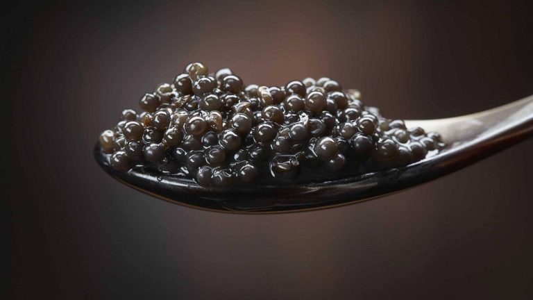 Caviar from Iran | The History of Iranian Caviar | Updated for 2022