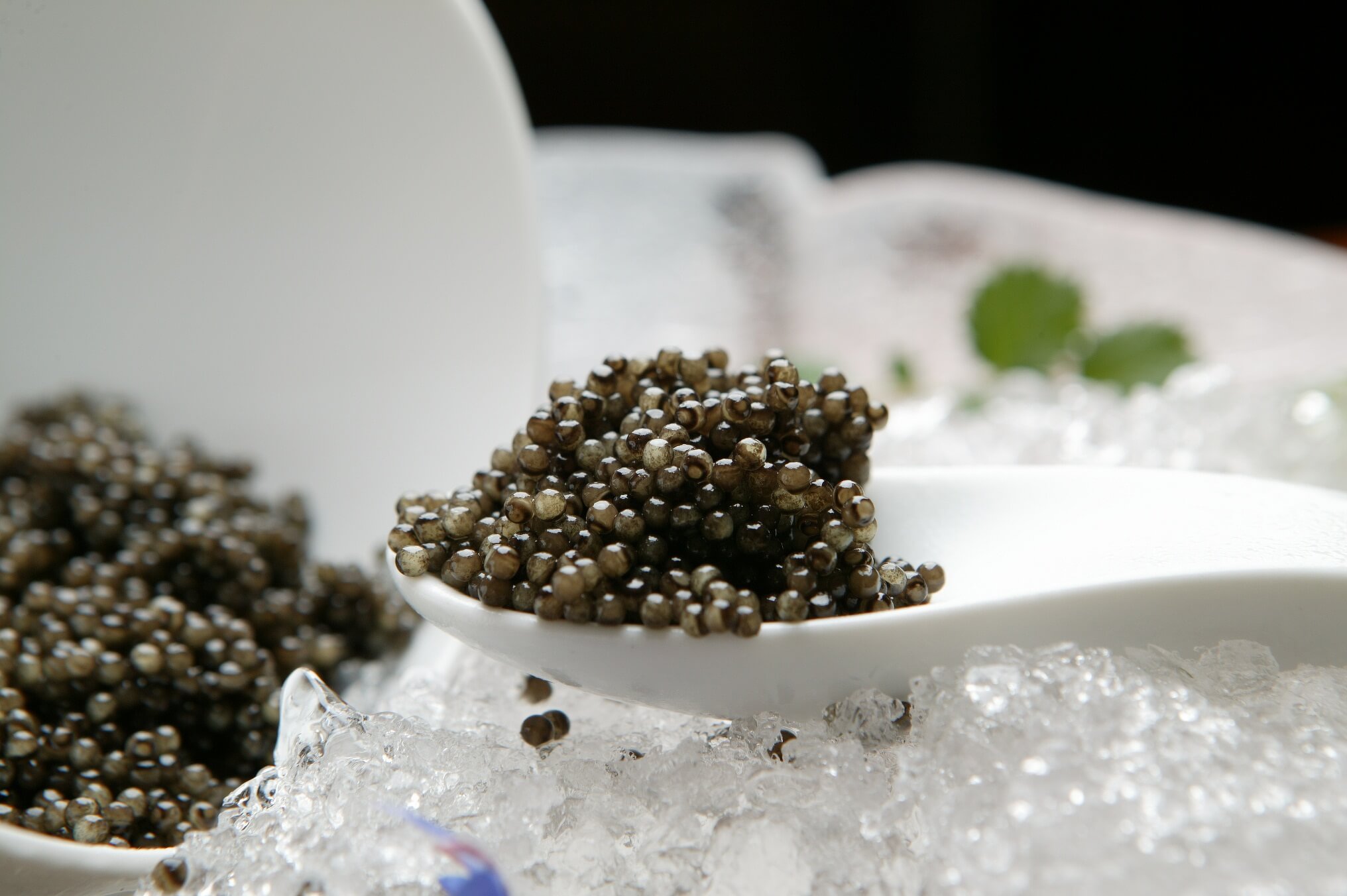 Sustitutos del caviar