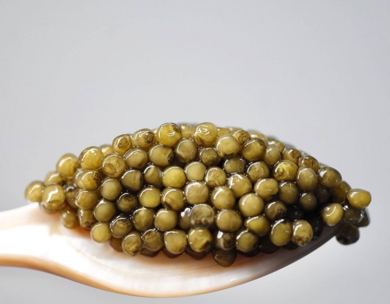 Best Caviar in the World Best Types of Caviar 2022 Updated Best Caviar in the World Best Types of Caviar 2022 Updated