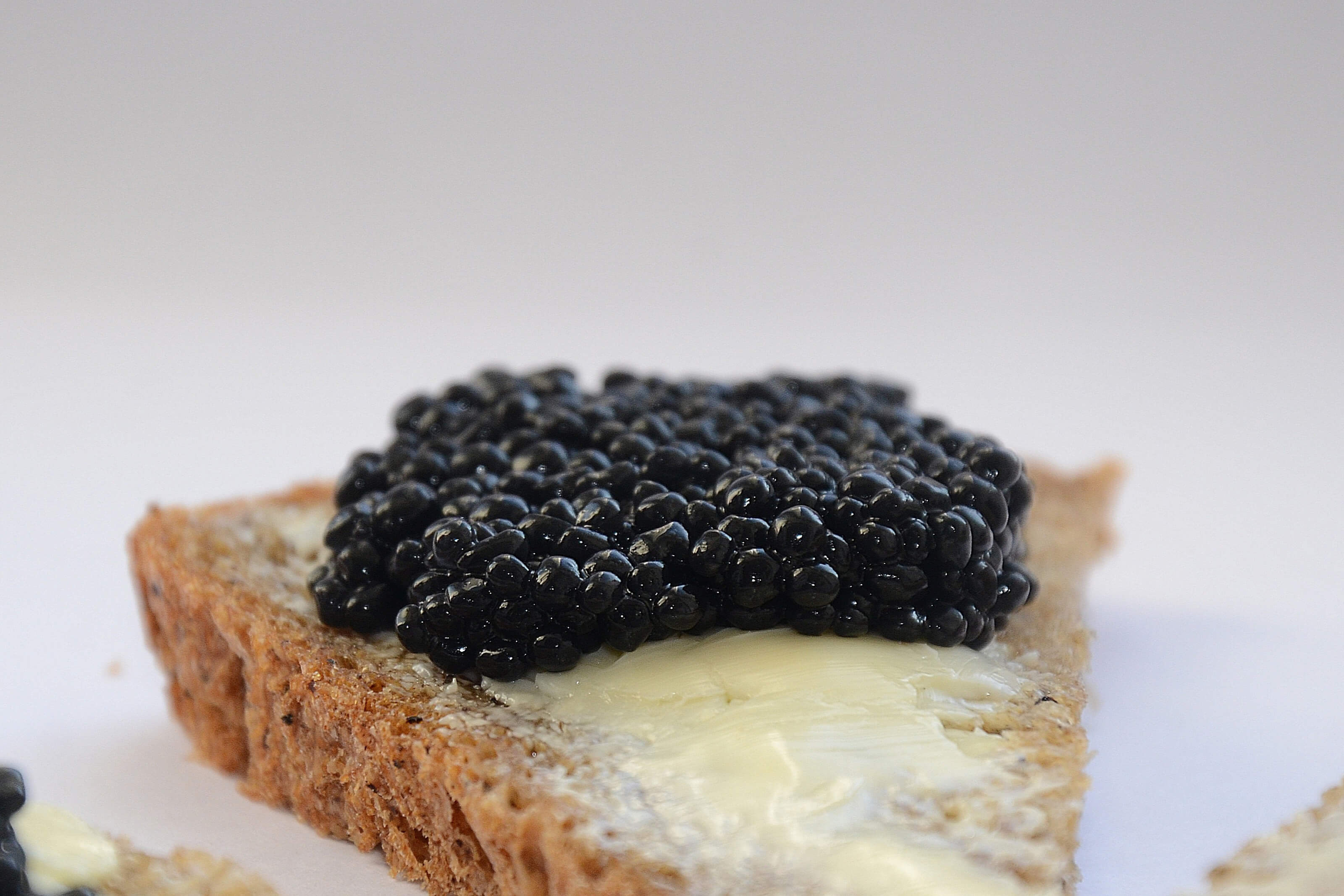 Warum ist Kaviar so teuer? | Wie viel kostet Kaviar? | Der wahre Preis ...